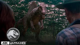 Jurassic Park 3  La persecución del Espinosaurio en 4K HDR [upl. by Lletram582]