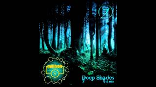 DJ Millivolt Zenon Records  Deep Shades DJ Mix 2013 [upl. by Bridwell]