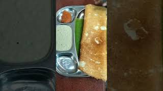 Plain Dosa in Hyderabad hyderabad food breakfast foodie love foodlover [upl. by Zara]