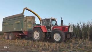 Steyr 8180 amp Brantner Stabilator TA 23061 beim Silagetransport  Agrarservice Rimbach SOUND [upl. by Igal929]