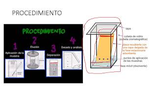 CROMATOGRAFIA EN CAPA FINA CCF [upl. by Domini]