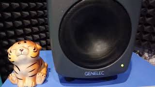 GENELEC 8040 BPM [upl. by Aihsal]