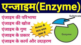 एंजाइम  enzymes in hindi  enzymes biomolecules  enzyme difinition example type function  bio [upl. by Farron278]