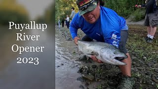 Big Kings in the Puyallup River 2023 Opener [upl. by Noxin113]