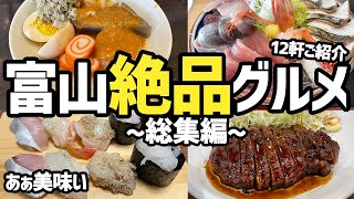 【富山グルメ総集編】あぁ最高過ぎるオススメ10店舗以上をご紹介！美味しいものが多すぎる！【絶品グルメ、お寿司、トンカツ、海鮮丼、ラーメン、カレー、おすすめ旅行先】 [upl. by Junette]