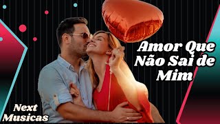 Amor Que Não Sai de Mim  Sertanejo romântico [upl. by Forward]