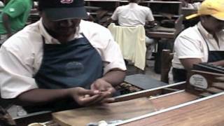 Making a Premium Hand Made Cigar [upl. by Dupaix]