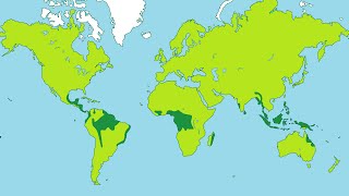 Facts about Tropical Rainforests [upl. by Winfrid227]