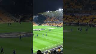 Wolves vs Crystal Palace [upl. by Nyluqcaj]