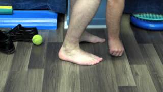 Tibialis Posterior and Fibularis Longus Rehabilitation [upl. by Anomahs]