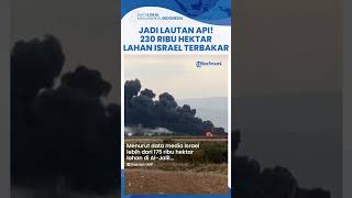 Diserang Hizbullah Tanpa Henti Ratusan Ribu Hektar Lahan di Israel Terbakar Bak Lautan Api [upl. by Aynek]