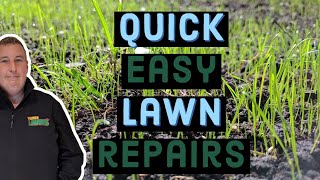 How to fix bare patches in a lawn  first cut after scarification [upl. by Hewie651]