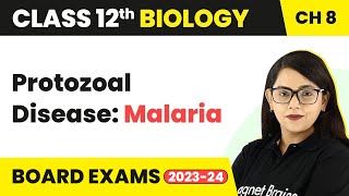 Protozoal Disease Malaria  Human Health amp Disease  Class 12 Biology Chapter 8 202223 [upl. by Atnohs]