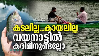 വയനാട്ടില്‍ കരിമീനുണ്ടല്ലോ  KARIMEEN  BANASURA DAM  GREEN CHROMIDE [upl. by Ahsenev443]