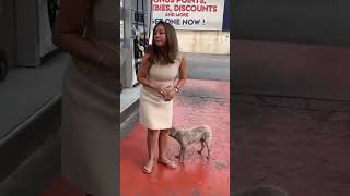 Korina Sanchez Rescues a Stray Dog by the Gas Station [upl. by Adien249]