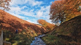 Soyland Moor Fell Race 2023 [upl. by Sapienza]