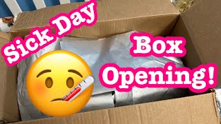 Sick Day Box Opening Realistic Rebornlike Doll Unboxing And Happy Mail KitstoKradlesNursery [upl. by Nahama]