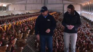 Australian egg farmer profile John Rohde [upl. by Anaiek208]