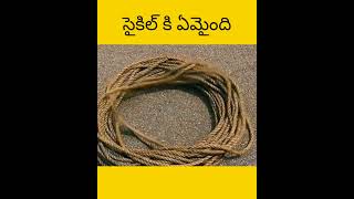 Vellu cycle tho assalu em cheystharu telugu facts amazingfacts [upl. by Lamek]