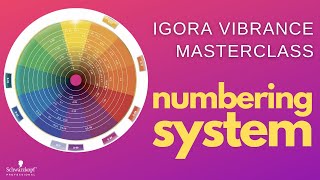 Converting to IGORA VIBRANCE 🤍 Numbering System amp Best Practices  Schwarzkopf Professional [upl. by Snider]