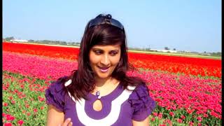 Mastana Mausam Hai Rangeen Nazara  Dil Hai Tumhara  Sandra amp John Baitali  Keukenhof [upl. by Nonnairb337]