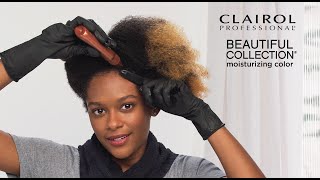 How to Clairol Professional Beautiful Collection [upl. by Dacy]