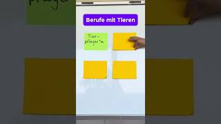 Berufe mit Tieren tiere azubi berufswahl tierberufe enjoylehre ausbildung [upl. by Hanan]