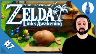 IL TRICHECO CICCIONE ▶▶▶ ZELDA LINKS AWAKENING SWITCH Gameplay ITA Parte 7 [upl. by Evita251]