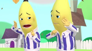 The Windiest Day Ever  Bananas in Pyjamas Season 1  Full Episodes  Bananas In Pyjamas [upl. by Ausoj]