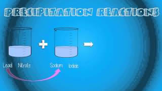 Precipitation Reactions [upl. by Neelloj]