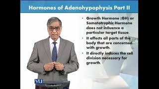 Hormones of Adenohypophysis  Part 2  Animal Form amp Function 1 Theory  ZOO516TTopic127 [upl. by Arriec]