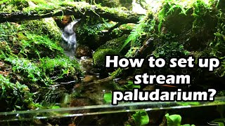 How build Paludarium stream Aquaterrarium  Cách làm bể bán cạn với dòng suối [upl. by Shaver]