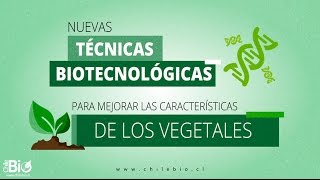 Chilebio quotNuevas técnicas biotecnológicas para mejorar las características de los vegetalesquot [upl. by Hilleary]