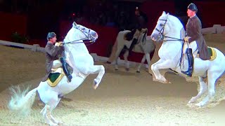 Spanish Riding School Vienna Lipizzaner Horse Performance London luna [upl. by Lidstone93]