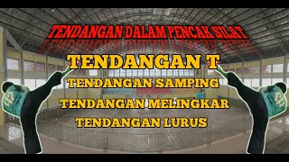 Tendangan Dalam Pencak Silat  Lurus Samping Melingkar T [upl. by Dahij]