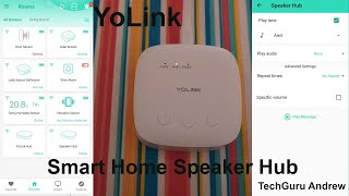 YoLink Smart Home Speaker Hub TESTING [upl. by Ayotl]