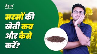 सरसों की खेती  sarso ki kheti kaise kare  sarson ki kheti  mustard farming shorts sarsokikheti [upl. by Ettelrats]