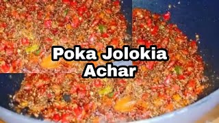 Red Chillies Pickle Recipe  Poka Jolokia Achar [upl. by Orfurd740]