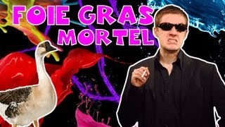 Foie Gras Mortel  SLG N°28  MATHIEU SOMMET [upl. by Anwahsal]