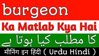 Burgeon Meaning  Burgeon Meaning In Urdu Hindi  Burgeon Ka Matlab Kya Hota Hai Burgeon Ka Meaning [upl. by Erodroeht365]