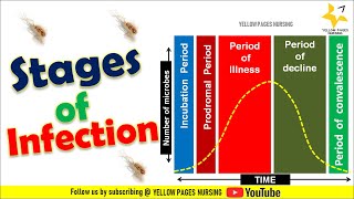 Stages of infection Incubation Period  Prodromal Period  illness  Decline amp Convalescence [upl. by Calendra]