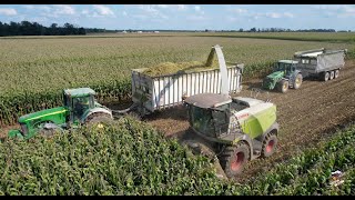 Chopping Corn Silage amp Pumping Cow Manure near Greensburg Indiana  Hulbosch Dairy [upl. by Alletse]