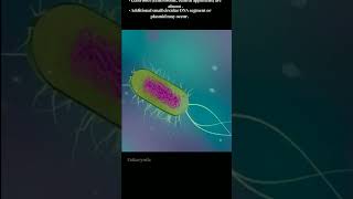 Prokaryotic and Eukaryotic Cell difference short learning cytology [upl. by Tolmach]