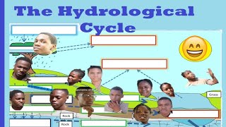 Components of the Hydrological cycle explained by My Class [upl. by Sebastian585]