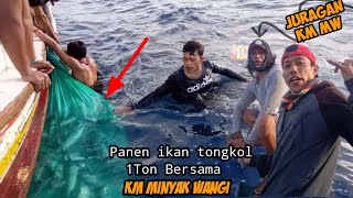 Nelayan tradisional Panen ikan tongkol 1Ton lebih Bersama KmMw Landangan Situbondo PART 2 [upl. by Elbertina807]