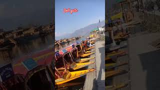 Srinagar dal gate city love jubinnautiyal [upl. by Brannon]