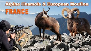 Mouflon amp Chamois hunting in France  Chasse au Mouflon et Chamois en France  2022 [upl. by Loree373]