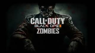 COD BO2 Zombies Round Change Cover [upl. by Enisamoht]