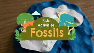 ASL Fossils for Kids [upl. by Olemrac]