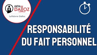 Responsabilité du Fait Personnel  Responsabilité Civile [upl. by Latoniah401]